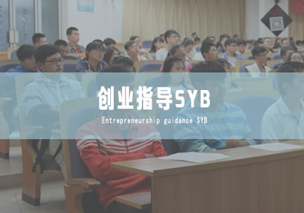 创业指导SYB