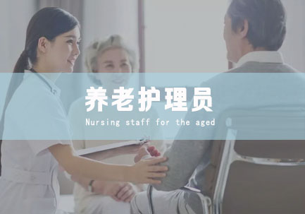 养老护理员